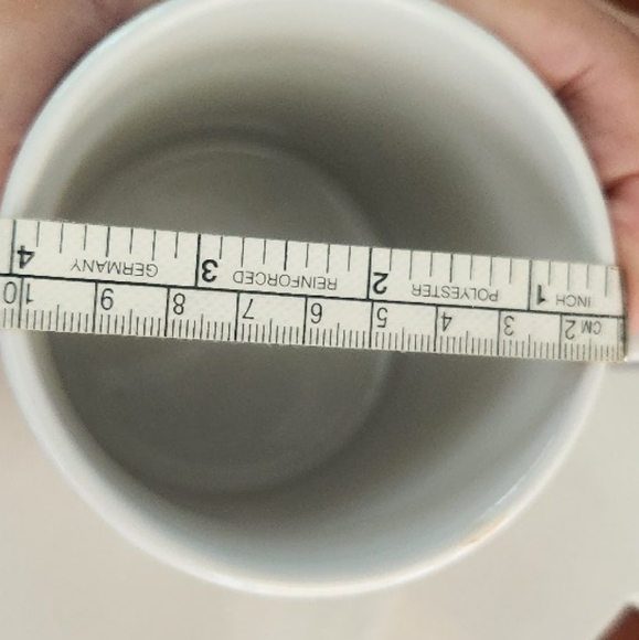 Siamese Cat - Picture 6 of 6